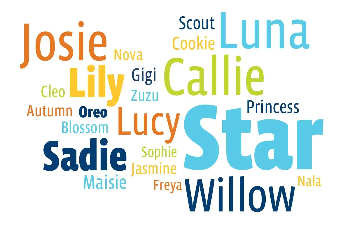 Chcesz wybrać angielskie imiona dla suczki? Oto inspiracje: Luna, Lily, Callie, Lucy, Star, Willow, Sadie, Josie, Maisie, Freya, Nala, Cookie, Nova, Gigi, Zuzu, Cleo, Autumn, Oreo, Blossom, Princess, Scout, Jasmine, Sophie.
