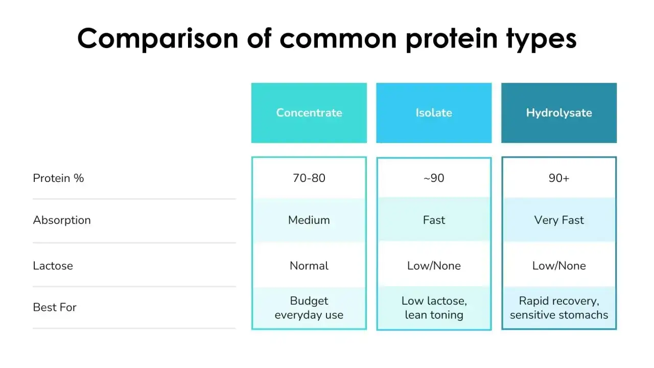 Vergleich von Proteintypen: Konzentrat, Isolat, Hydrolysat. Was ist Whey Protein? Tabelle zeigt Protein %, Absorption, Laktose und beste Anwendung.