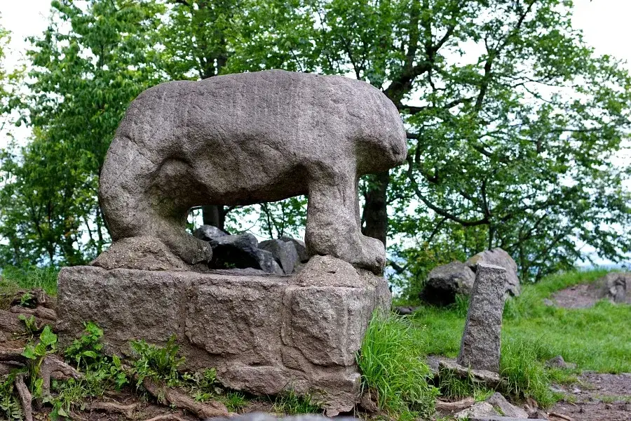 Flora i fauna rezerwatu Góra Ślęża