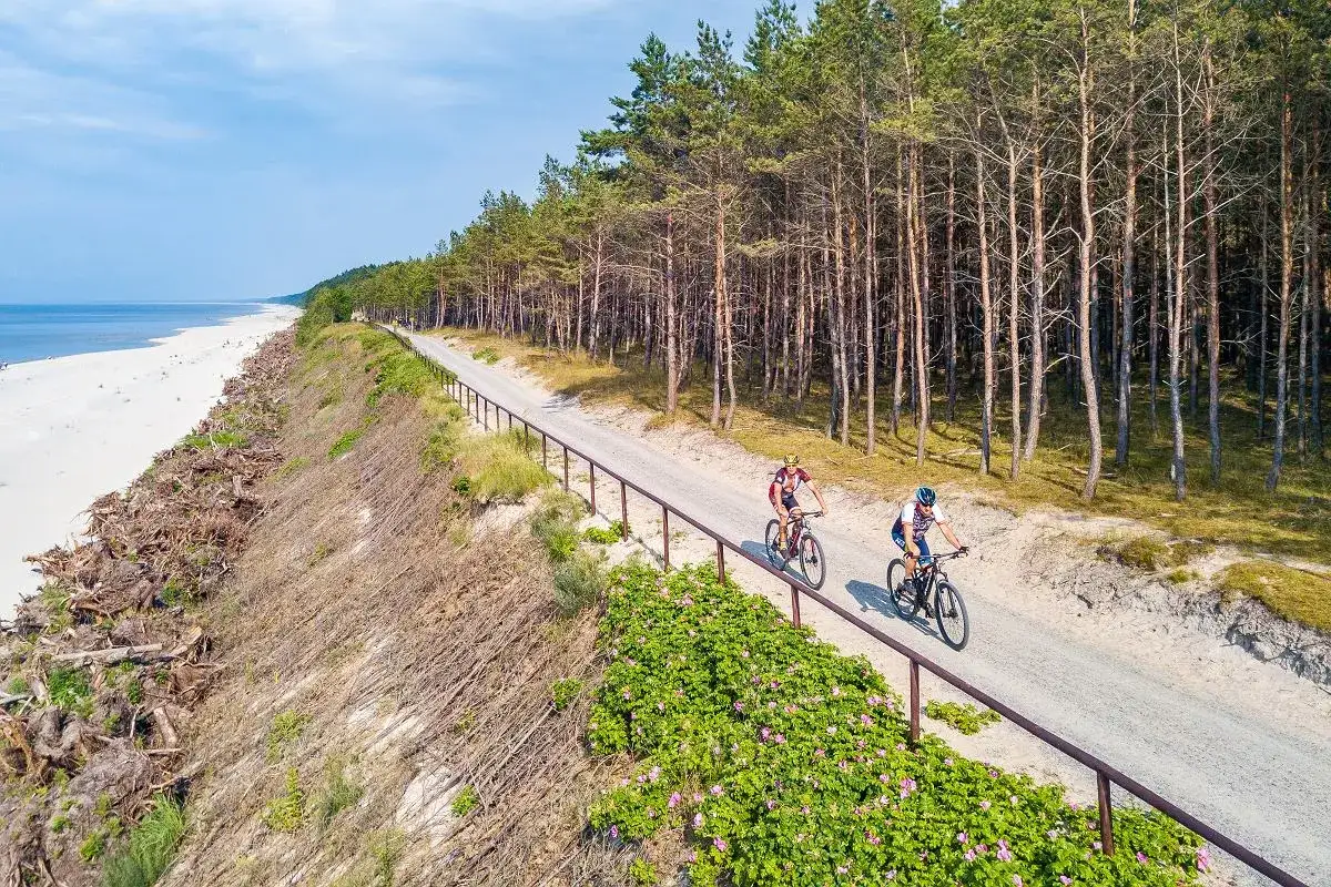 Dwaj rowerzyści przemierzają malowniczą trasę Euro Velo wzdłuż sosnowego lasu i piaszczystej plaży.
