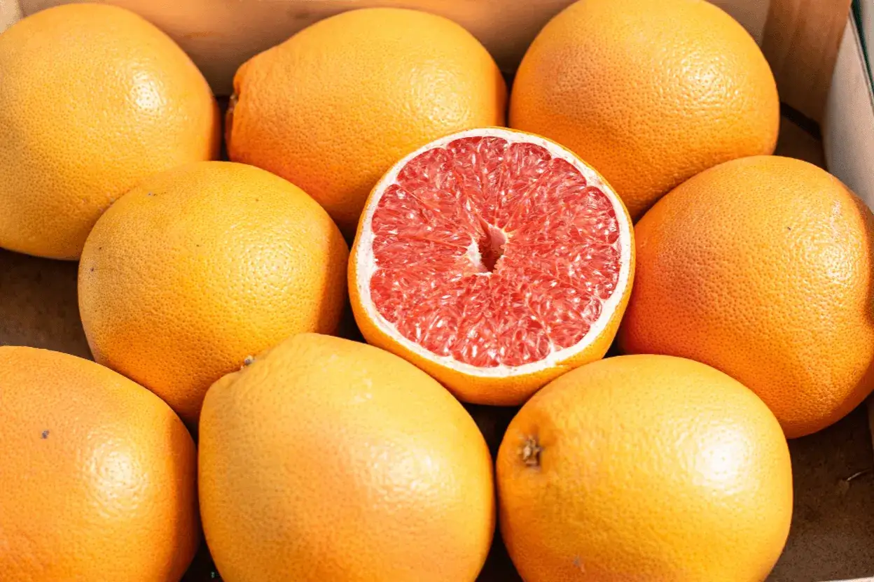 Grejpfrut i enzym CYP3A4