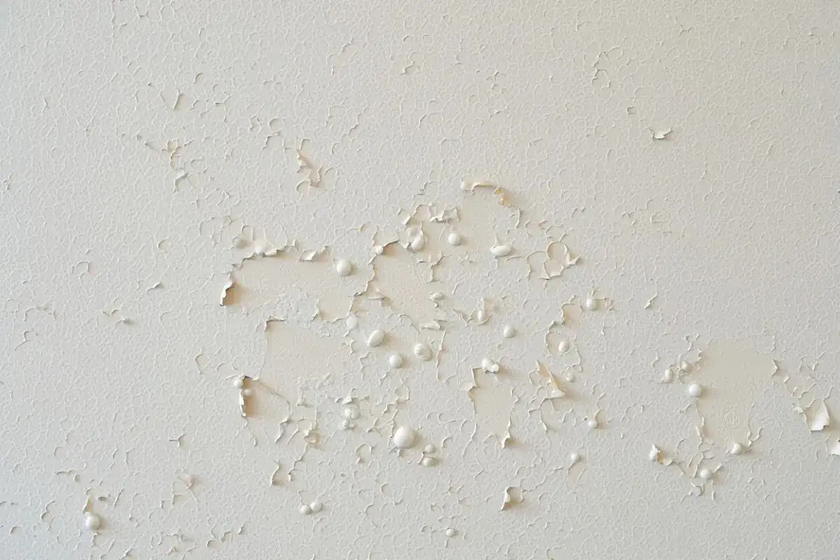 Enduit blanc qui cloque et bulle, signe d'une humidit&eacute; sous-jacente. Pourquoi mon enduit fait des bulles ?