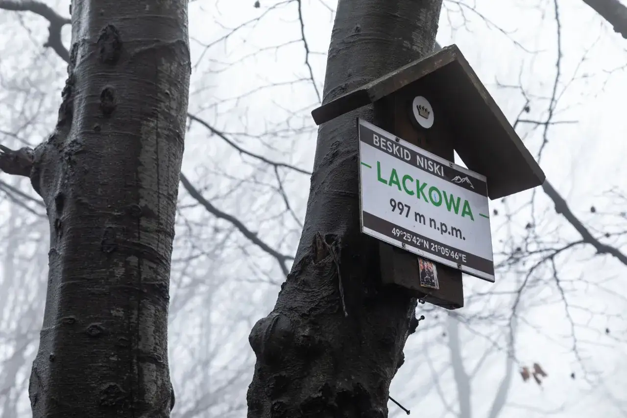 Na drzewie w Beskidzie Niskim wisi tabliczka z napisem