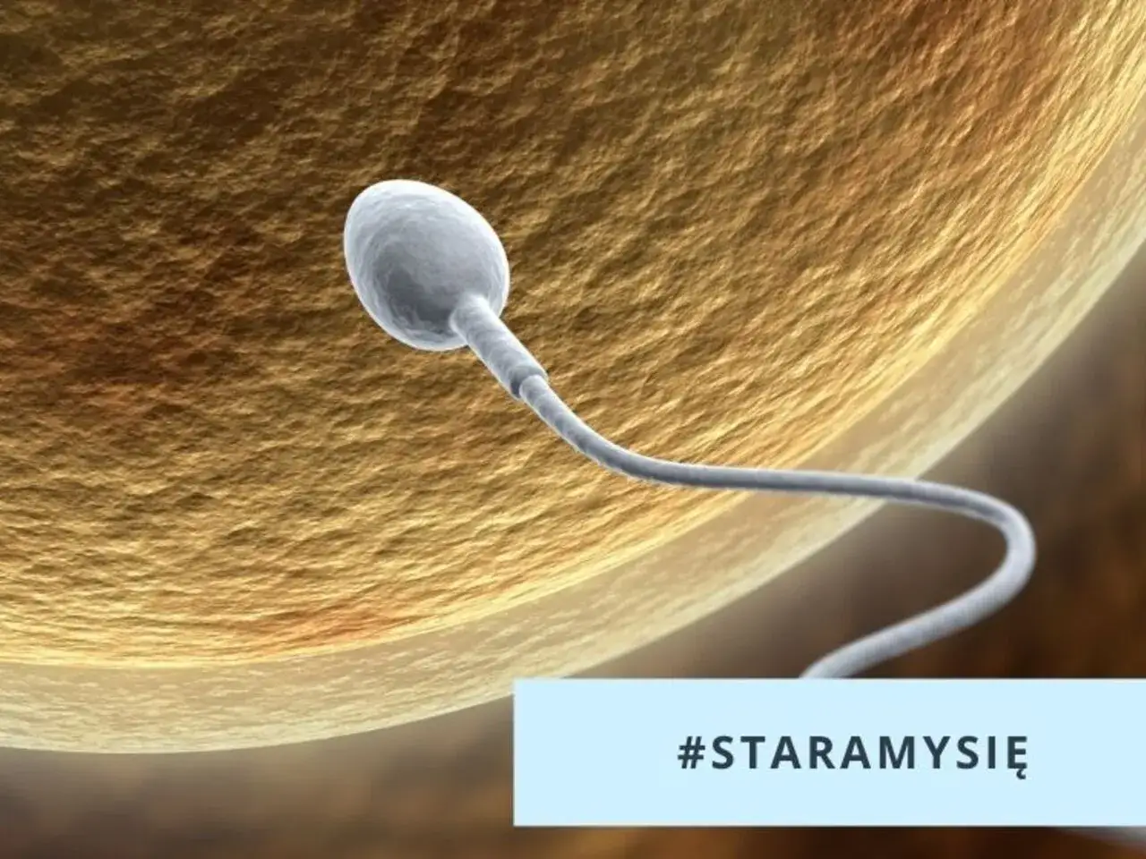 Sperm zbliża się do komórki jajowej. Temat: endometrioza a ciąża. #STARAMYSIĘ