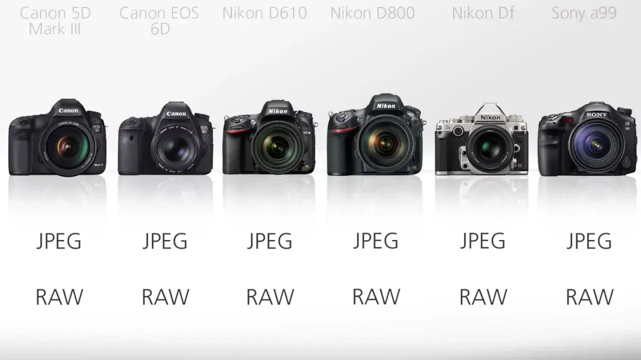 Comparing DSLRs: Canon 5D Mark III, EOS 6D, Nikon D610, D800, Df, and Sony a99. The Nikon Df appears to be the smallest full frame DSLR.