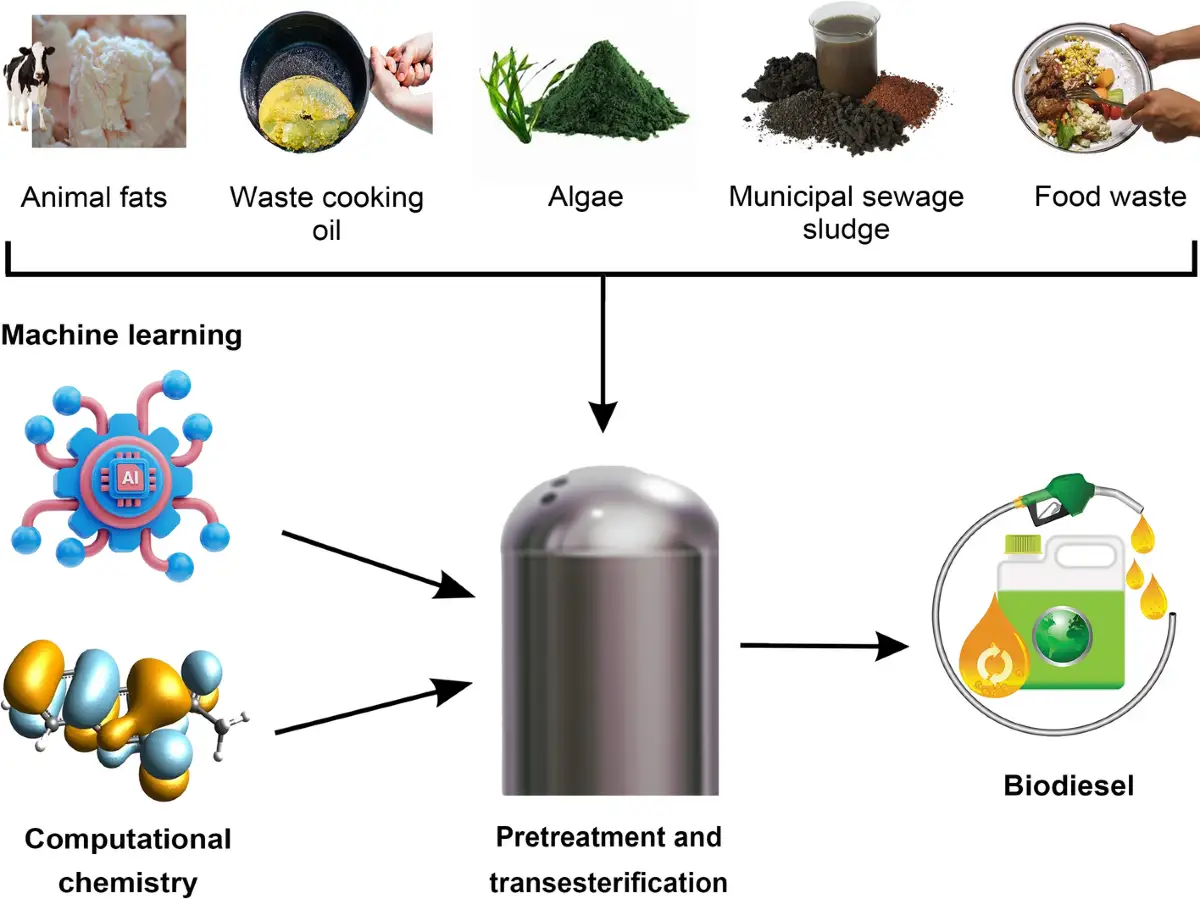 Schéma illustrant comment convertir diesel en biodiesel à partir de graisses animales, d'huile de cuisson usagée, d'algues, de boues d'épuration et de déchets alimentaires, via le prétraitement et la transestérification, optimisés par l'IA.