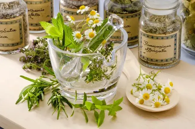Naturalne sposoby na trądzik zioła dieta