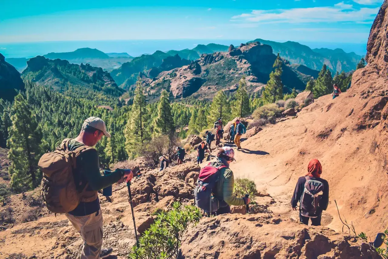 Un groupe de randonneurs explore un sentier rocailleux dans un paysage montagneux verdoyant, profitant d'une randonnée dans les Canaries sous un ciel bleu éclatant.