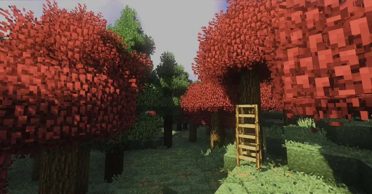 Las z czerwonymi i zielonymi drzewami, przypominający biomes o plenty. Drewniana drabina stoi przy pniu.