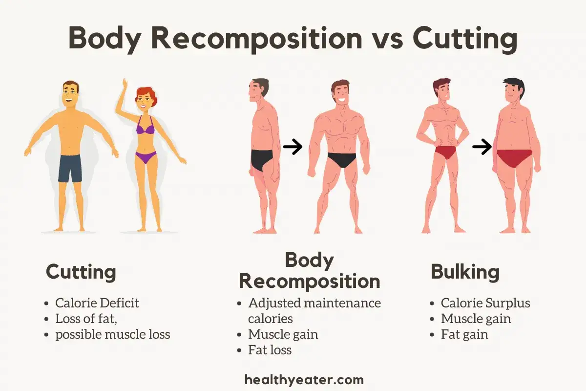 Grafik zeigt, dass man im Kaloriendefizit Muskeln aufbauen kann (Body Recomposition). Links: Cutting, rechts: Bulking.