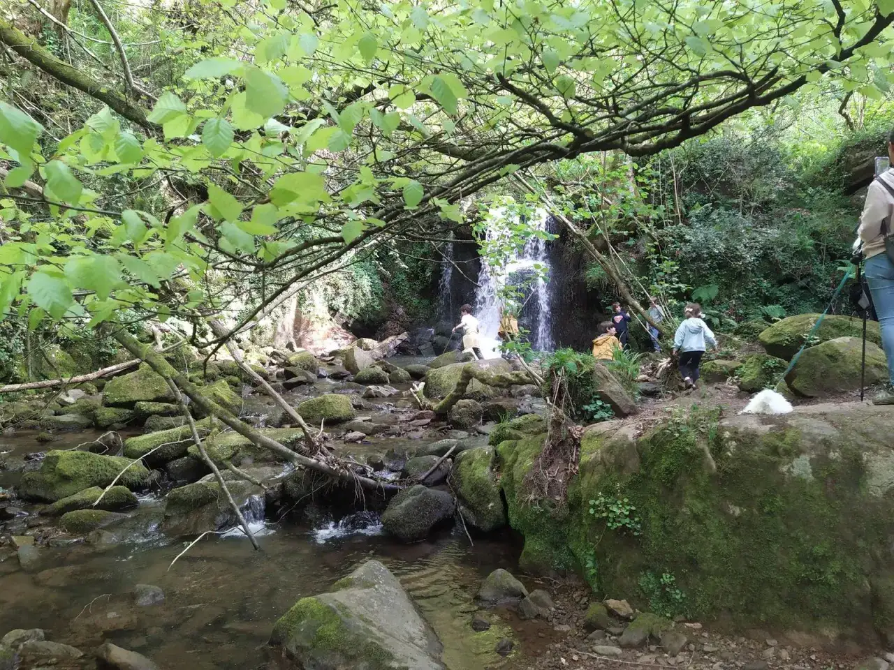 Ni&ntilde;os exploran la ruta canal de las tejeras, un sendero boscoso con cascada y rocas cubiertas de musgo.