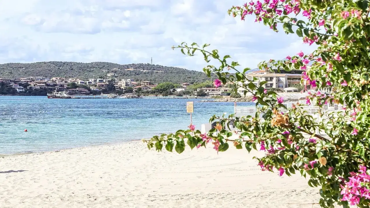 Piękna plaża na Costa Smeralda z turkusową wodą, białym piaskiem i kwitnącymi bugenwillami. W tle widać zabudowania i wzgórza Sardynii.