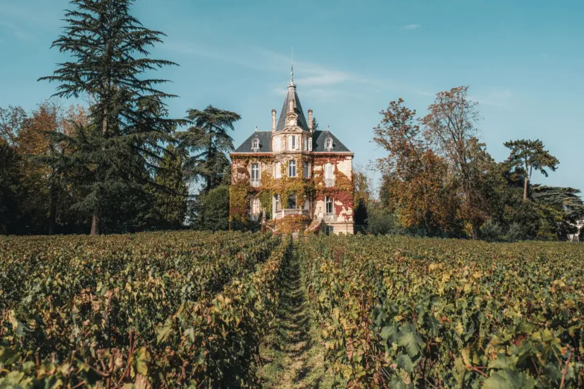 Château majestueux couvert de vigne rouge, au milieu d'un vignoble verdoyant. L'automne approche au **caudalie vignoble**.