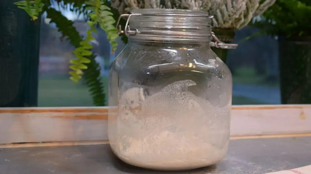 En glasburk med surdeg som väntar på att friska upp sig. Bubblor syns på glaset.