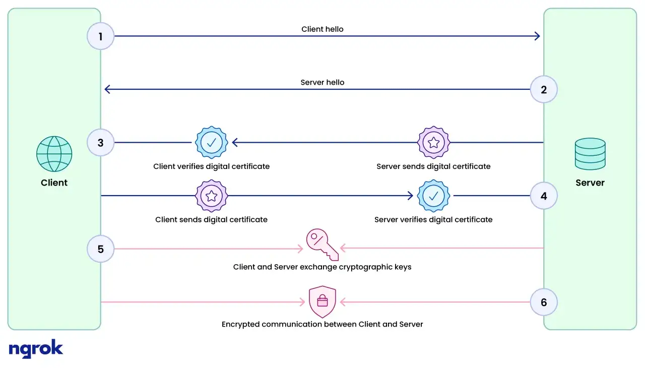Diagramm zeigt TLS-Handshake: Client sendet 