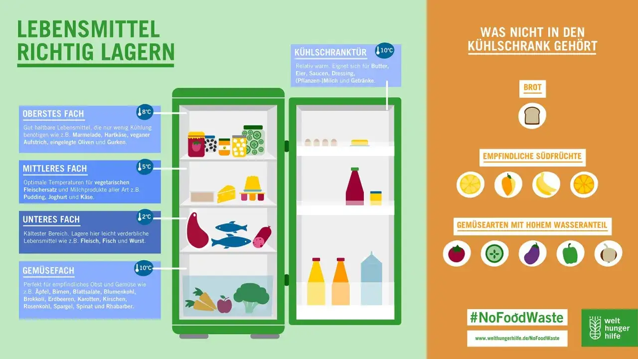 Illustration zeigt K&uuml;hlschrankf&auml;cher mit Lebensmitteln und Temperaturen. So kannst du Lebensmittelverschwendung vermeiden und alles richtig lagern.