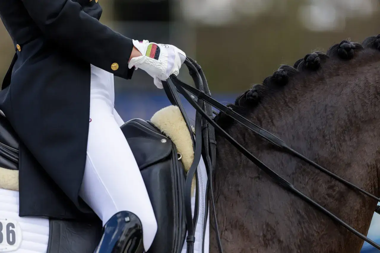 Reiterin mit wei&szlig;er Reithose, schwarzem Sakko und Handschuhen mit Deutschlandflagge h&auml;lt Z&uuml;gel. Die Kandare ist ein wichtiges Werkzeug f&uuml;r die Dressur.