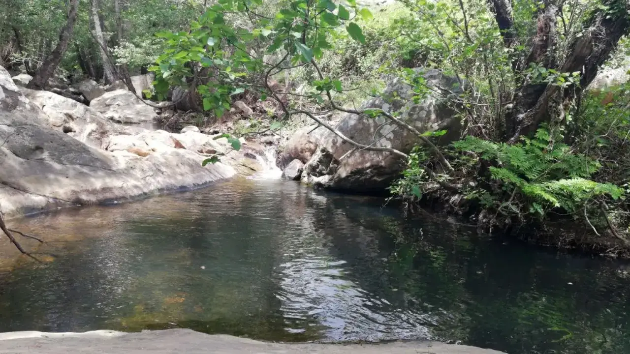 Un remanso de paz entre rocas y vegetación exuberante, ideal para refrescarse en las piscinas naturales de Cádiz.