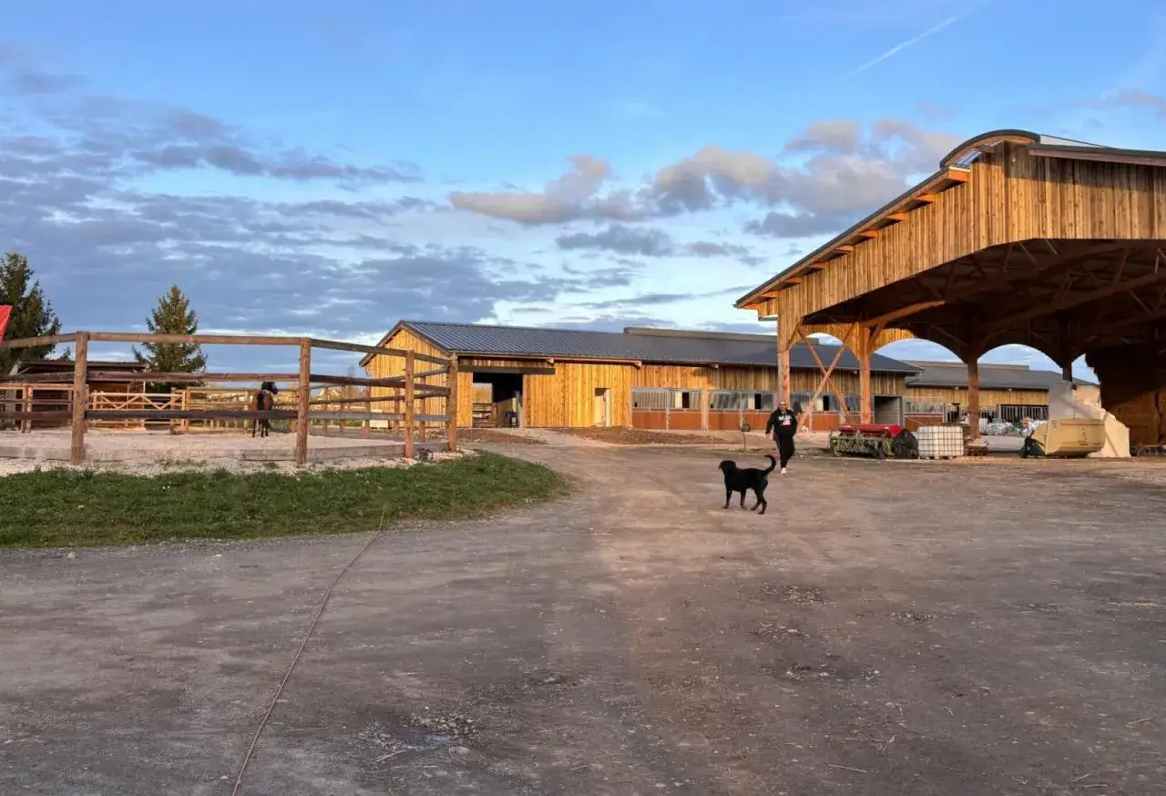 Un chien noir court dans la cour d'une nouvelle structure &eacute;questre en bois, avec des &eacute;curies et un man&egrave;ge en arri&egrave;re-plan.