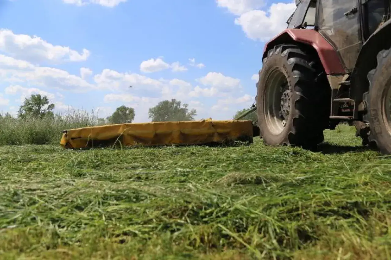 Traktor z kosiarką zbliża się do widza, ścinając trawę. Zastanawiasz się, ile kosztuje 1 ha łąki?