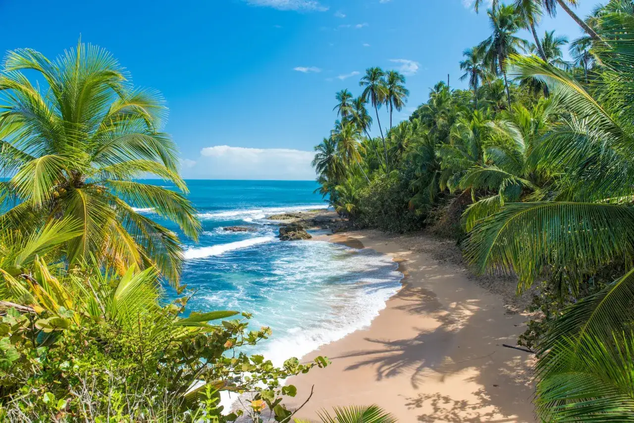 Rajska plaża z palmami i turkusowym oceanem. Idealne miejsce na wakacje, kiedy jechać do Kostaryki?