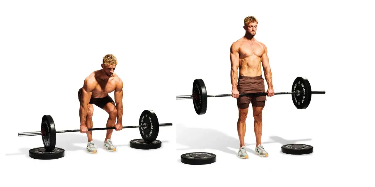 Homme muscl&eacute; effectuant un soulev&eacute; de terre, d'abord en position basse, puis debout avec la barre charg&eacute;e.