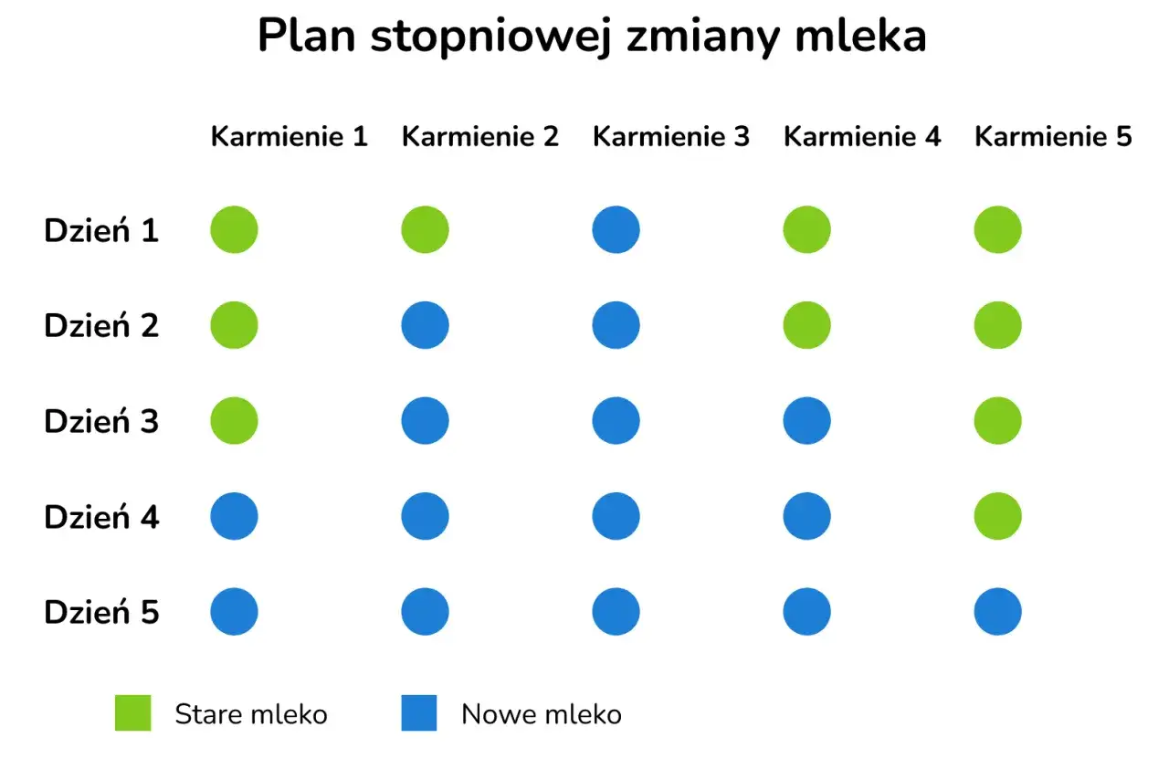 Plan stopniowej zmiany mleka: od kiedy mleko 2. zielone kropki oznaczają stare mleko, niebieskie nowe. Stopniowo wprowadzamy nowe mleko przez 5 dni.