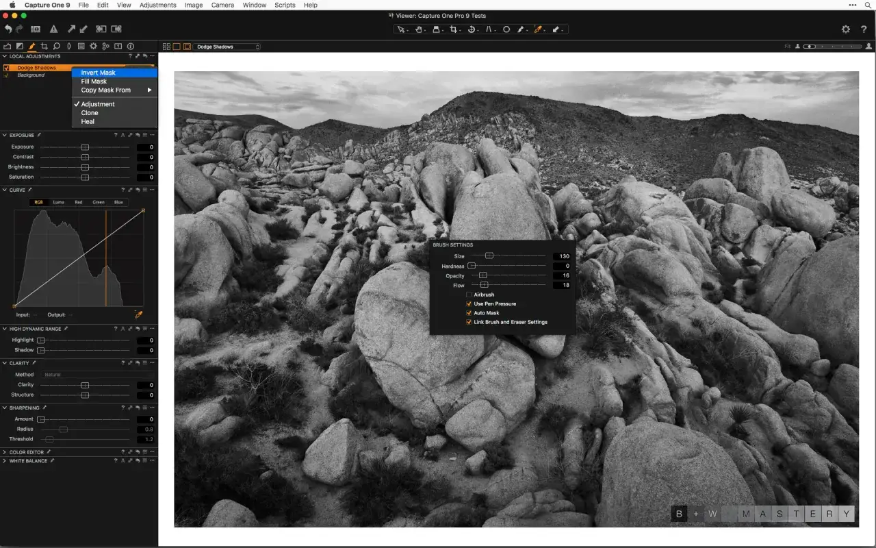 Paesaggio desertico in sfumatura bianco nero, con rocce e montagne sullo sfondo. Software di fotoritocco aperto.