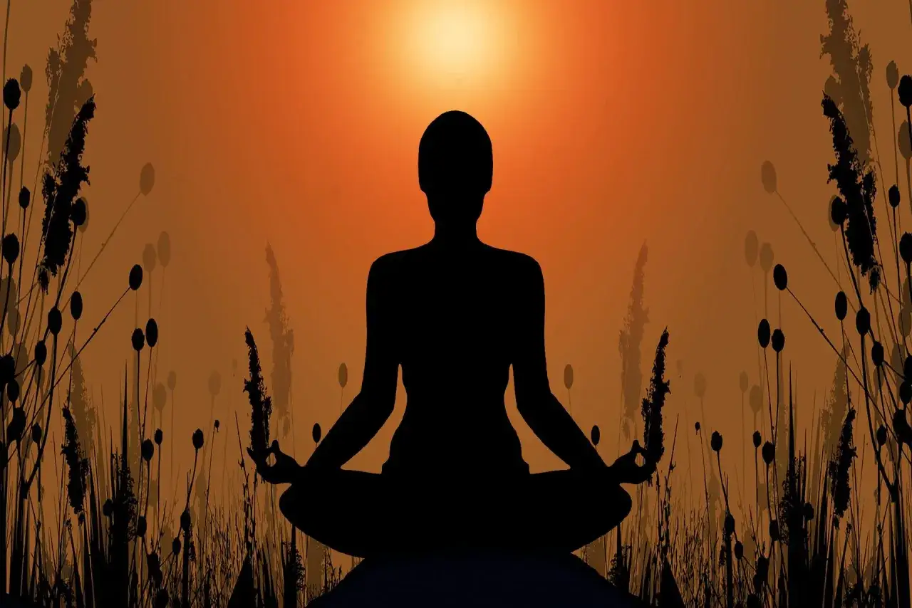 Silueta negra en posición de loto, rodeada de hierbas secas, bajo un sol anaranjado. Un momento de paz y dharma yoga.