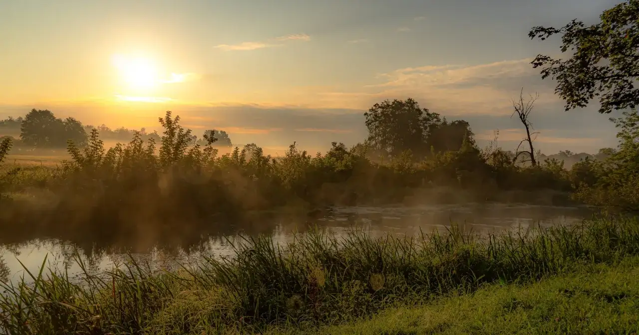 Mglisty poranek nad rzeką, słońce przebija się przez mgłę, tworząc magiczne miejsca na Podlasiu.