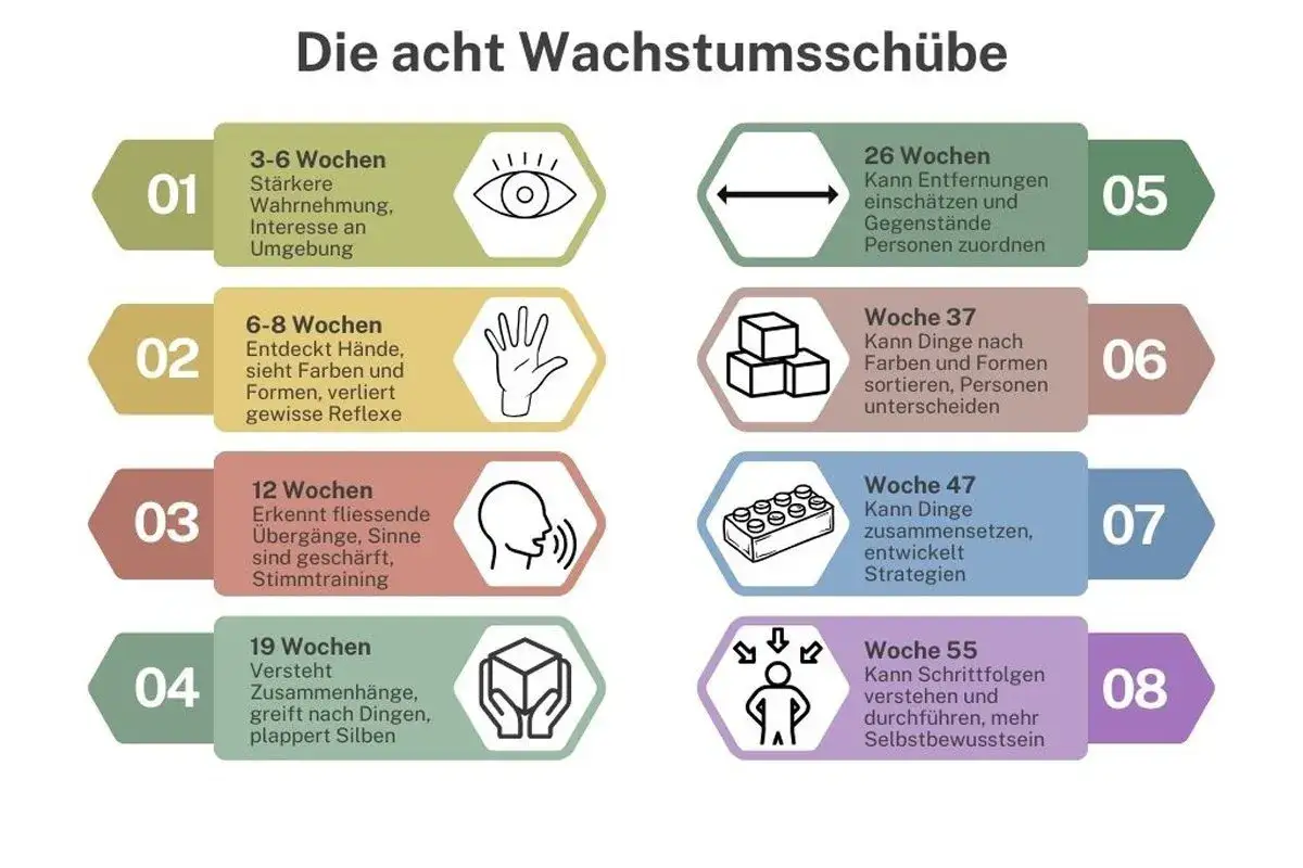 Die acht Wachstumsschübe: Vom ersten Sprung Baby bis zu komplexen Strategien.
