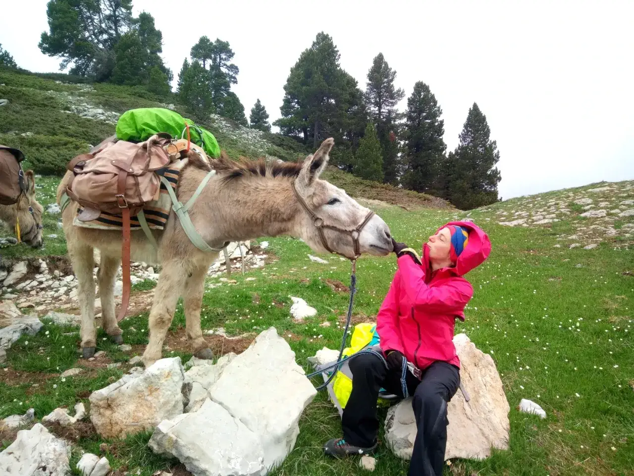 Moment tendre lors d'une randonnée familiale à Font d'Urle. Un âne chargé de sacs s'approche d'une jeune fille qui lui fait un bisou.
