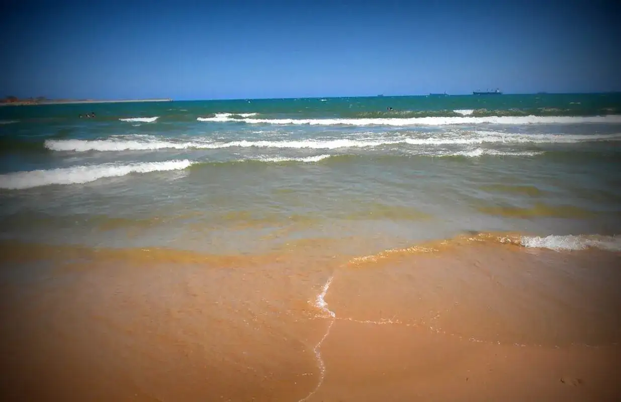 Olas rompiendo en la arena dorada, un día soleado en la playa mas cercana a Toledo. Se ven barcos en el horizonte.