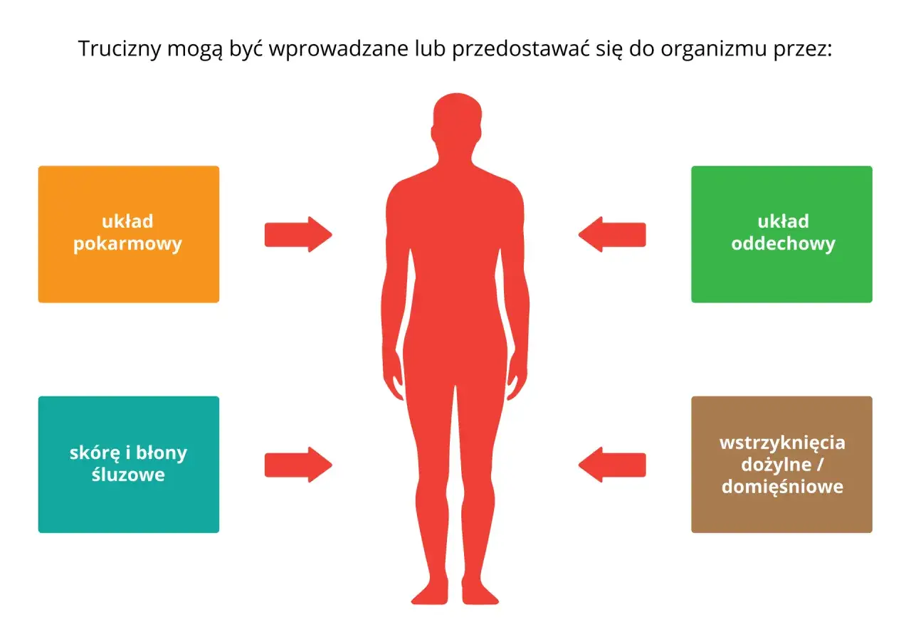 Schemat pokazuje drogi wnikania trucizn do organizmu: układ pokarmowy, oddechowy, skórę i błony śluzowe, wstrzyknięcia. Unikaj sytuacji, które mogą prowadzić do przedawkowania.