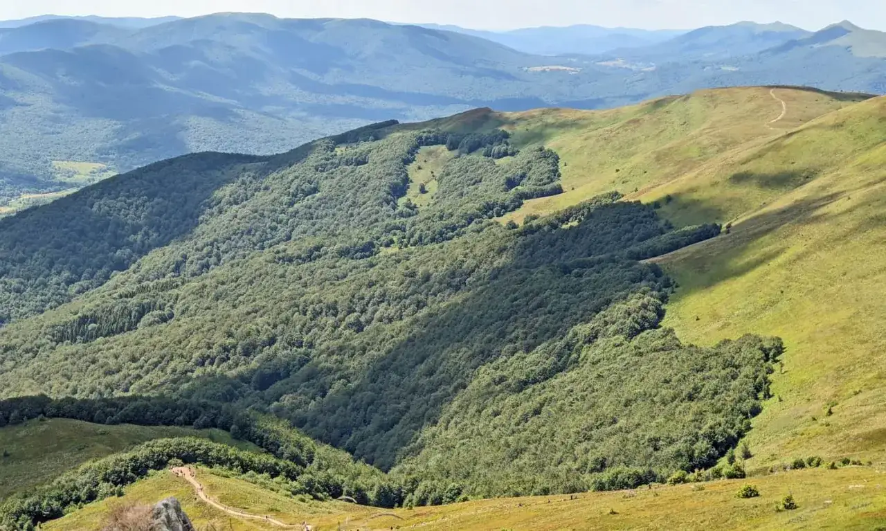 Widok z góry na zielone, zalesione zbocza górskie, przypominające krajobraz z Krakowa do Ustrzyk Górnych.