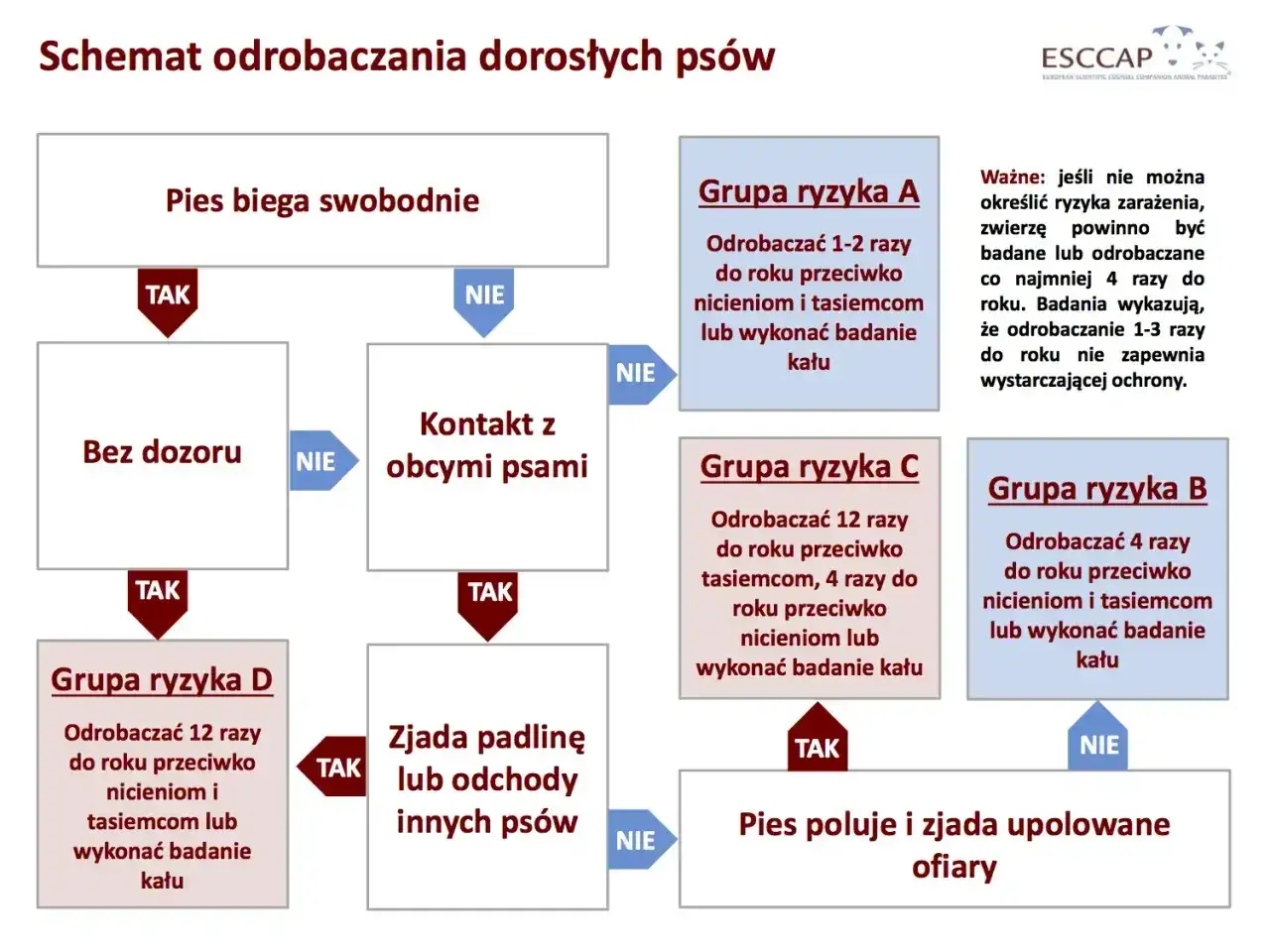 Schemat odrobaczania psów dorosłych. Określa grupy ryzyka i częstotliwość odrobaczania w zależności od stylu życia psa.