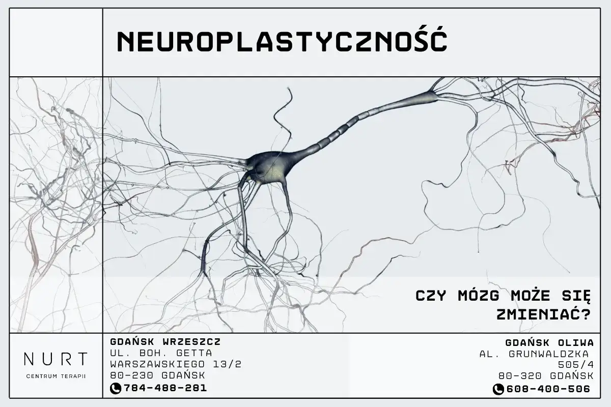 neuroplastyczność mózgu infografika