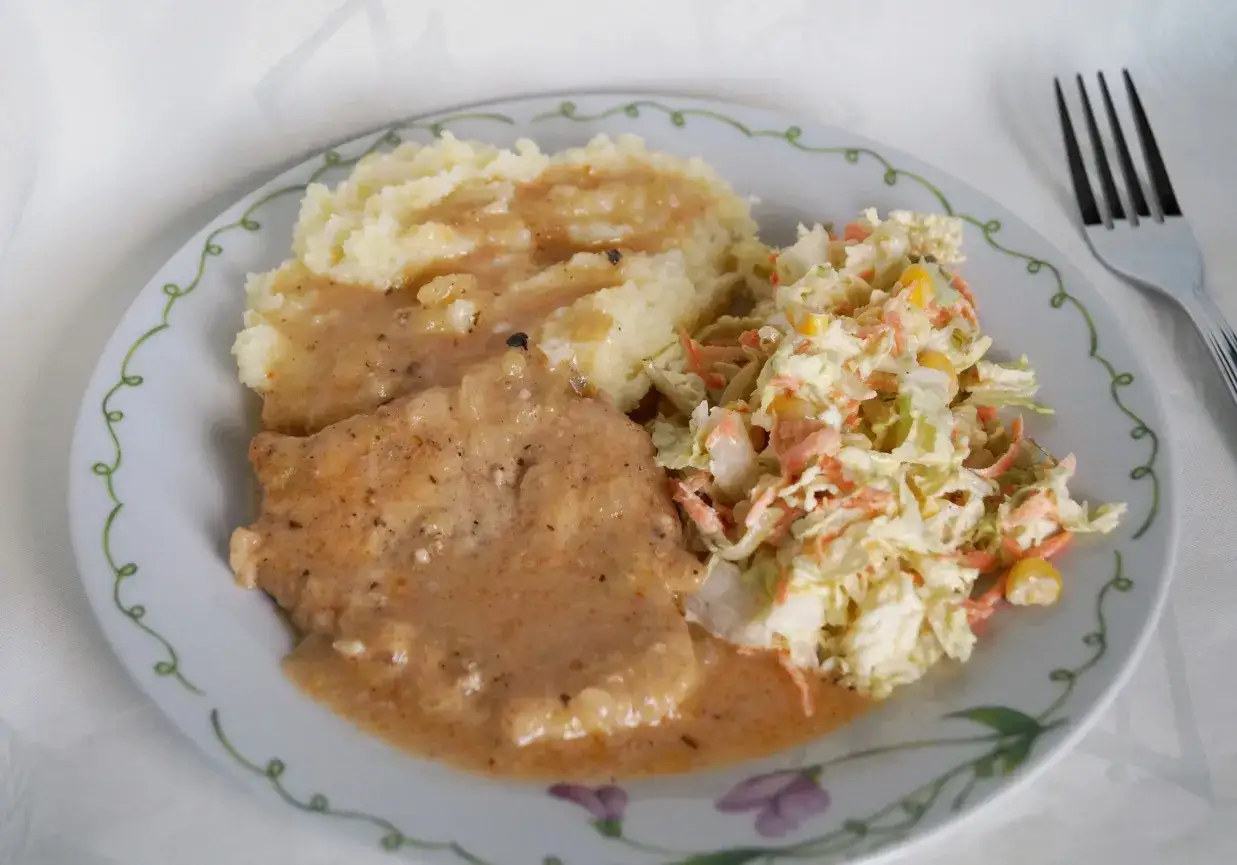 Schab w sosie własnym z puree ziemniaczanym i surówką z kapusty. Pyszny obiad gotowy do podania.