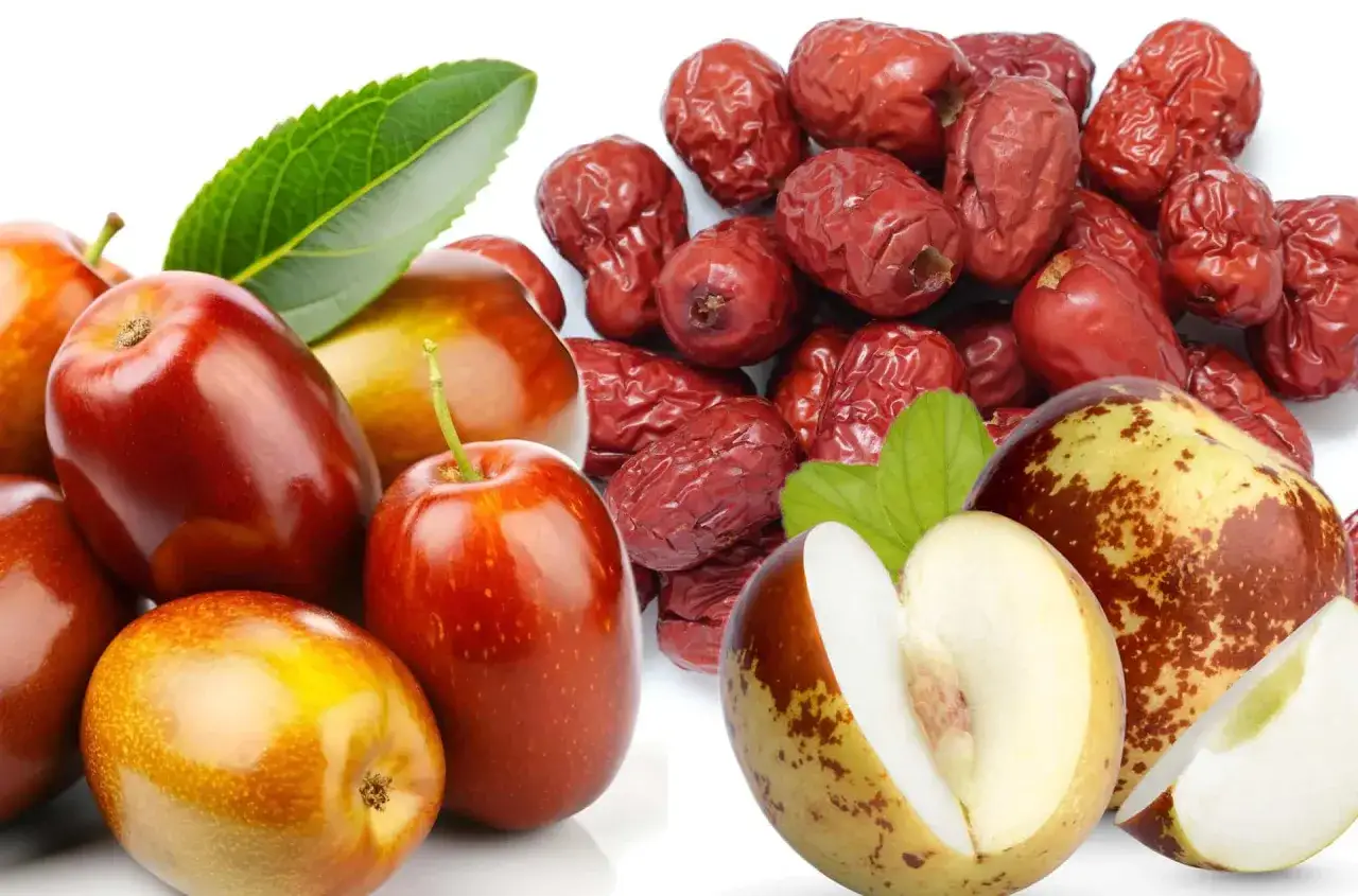 Giuggiole fresche e secche, un frutto delizioso. Quante calorie hanno le giuggiole? Circa 70-80 kcal per 100g.