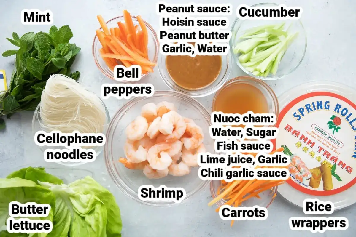 Zutaten für Sommerrollen: Garnelen, Reisnudeln, Minze, Salat, Karotten, Gurken, Paprika, Reispapier und eine Schüssel mit Nuoc Cham.