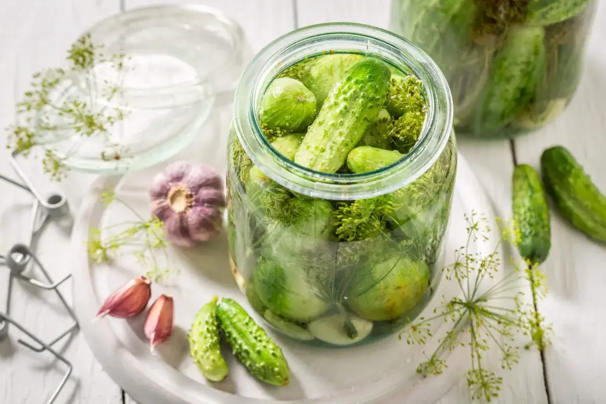 Un frasco lleno de pepinillos en vinagre, ajo y eneldo. &iexcl;Aunque los pepinillos en vinagre engordan, son deliciosos!