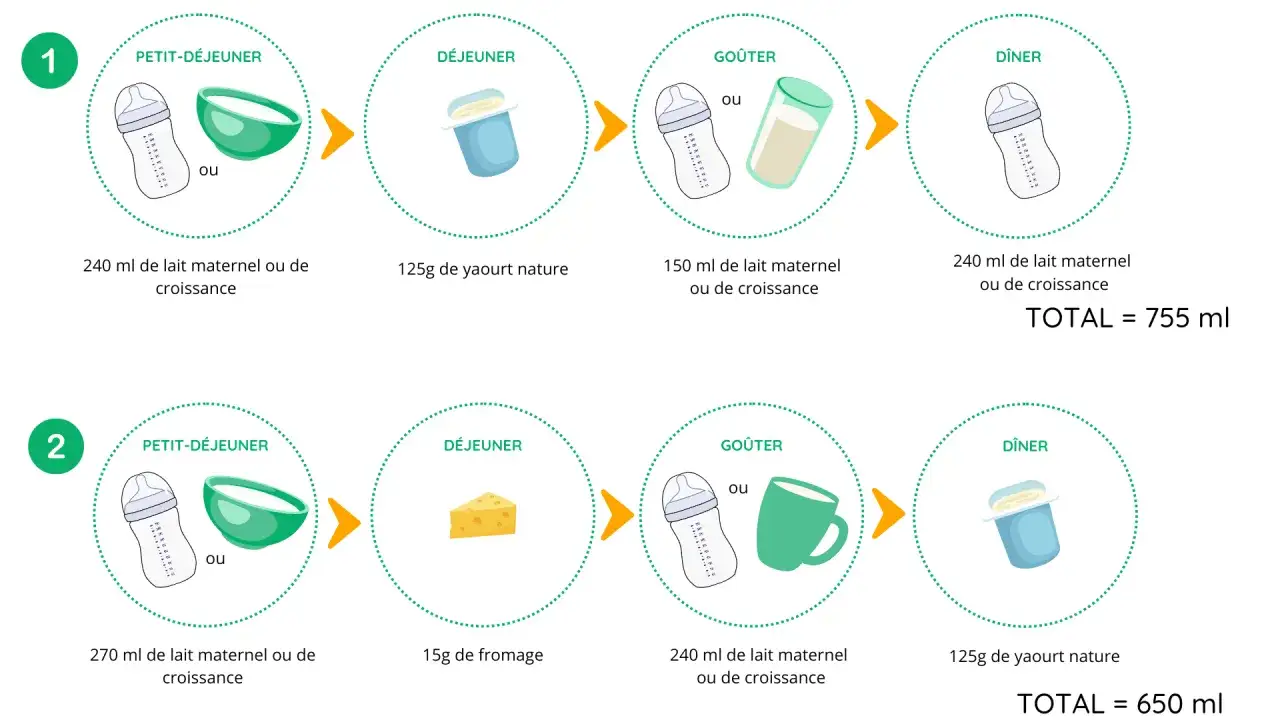 Schéma illustrant deux journées types pour l'hydratation bébé : lait, yaourt, fromage.