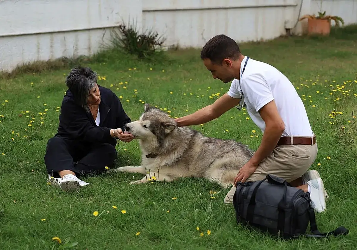 Una mujer y un veterinario acarician a un perro en un jardín. Se discute el precio eutanasia perros.