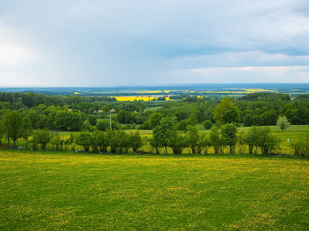 wieża widokowa Góra Dylewska panorama