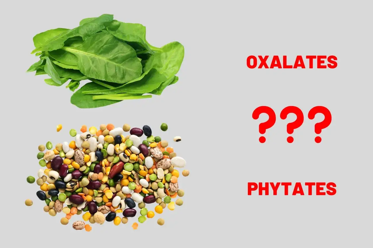 Épinards (oxalates) et mélange de légumineuses (phytates). Quels autres aliments riches en phytates et oxalates sont à considérer ?