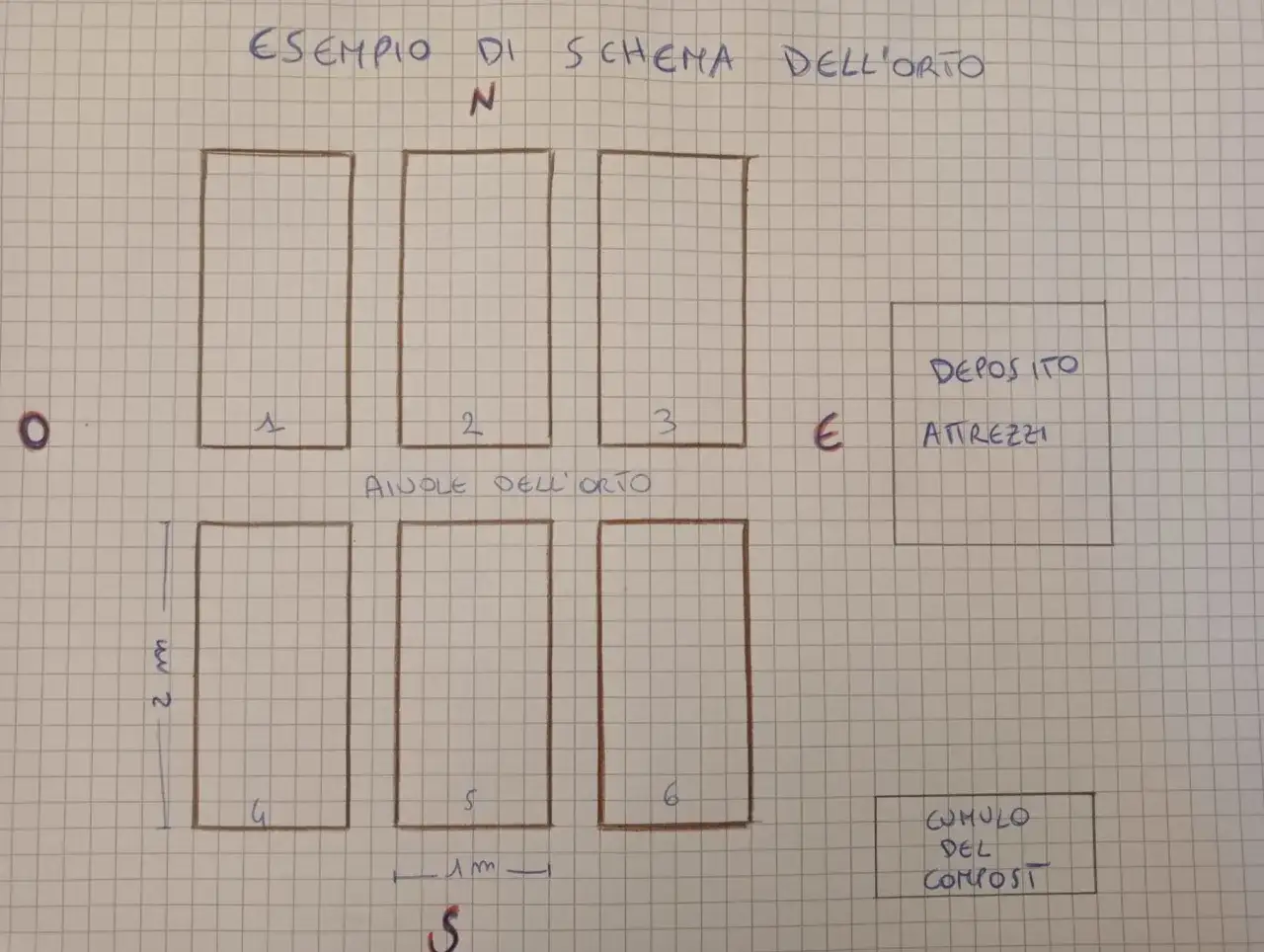 Schema orto con aiuole numerate. Indica cosa si semina a gennaio e dove riporre attrezzi e compost.