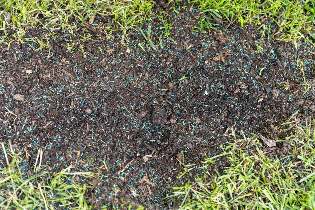 Close-up of soil with grass seed scattered, showing the first step in how to plant grass seed for a lush lawn.
