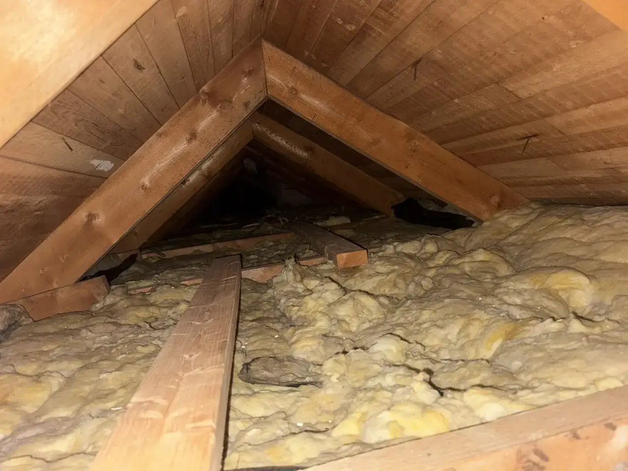 Takbjälkar och isolering i ett mörkt utrymme, redo för att renovera vind.