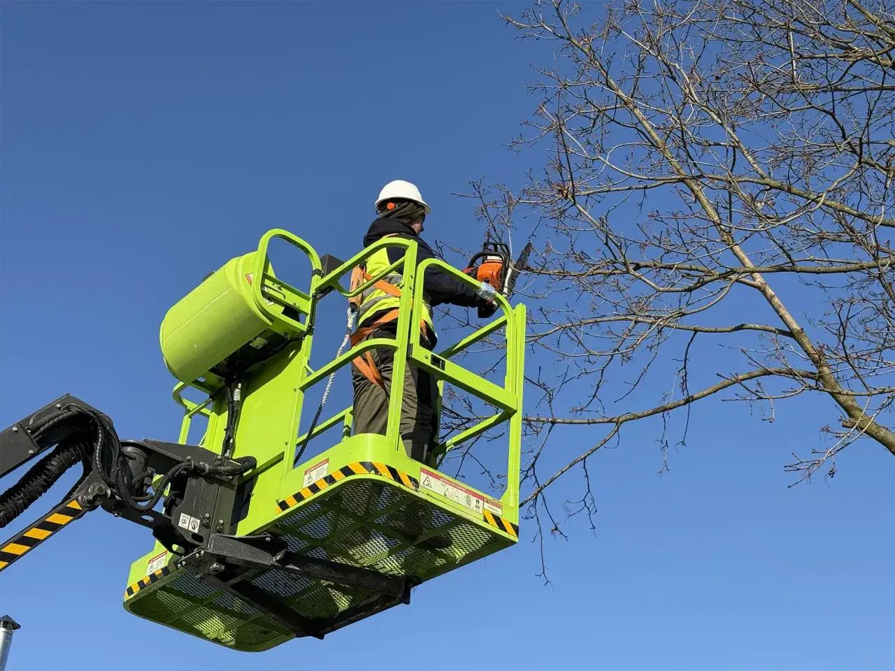 Arborysta w podnośniku z piłą łańcuchową przycina gałęzie drzewa na tle błękitnego nieba.