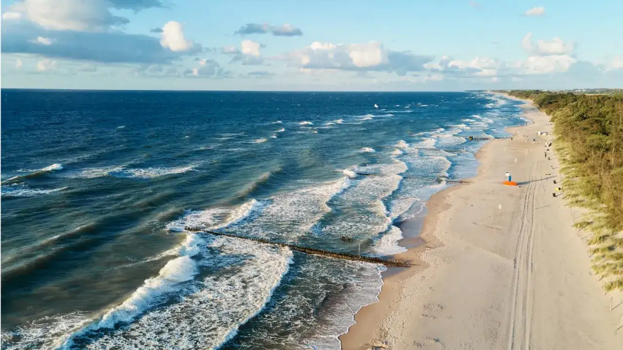 Piękna plaża z falami i lasem sosnowym. Idealne miejsce, by poczuć, gdzie najbliżej nad morze.